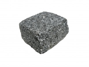 Patela rustica