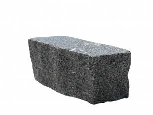 Patela semi-rustica
